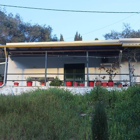 Niky'S Cottage باليوكاستريتسا المظهر الخارجي الصورة