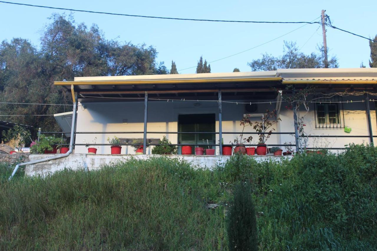 Niky'S Cottage باليوكاستريتسا المظهر الخارجي الصورة